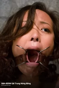 Đêm BDSM Gái Trung Nóng Bỏng